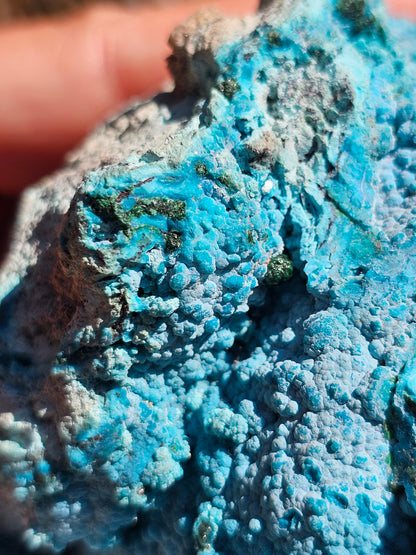 Chrysocolle cristallisée du Congo C3