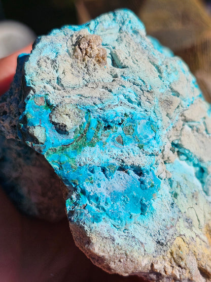 Chrysocolle cristallisée du Congo C3