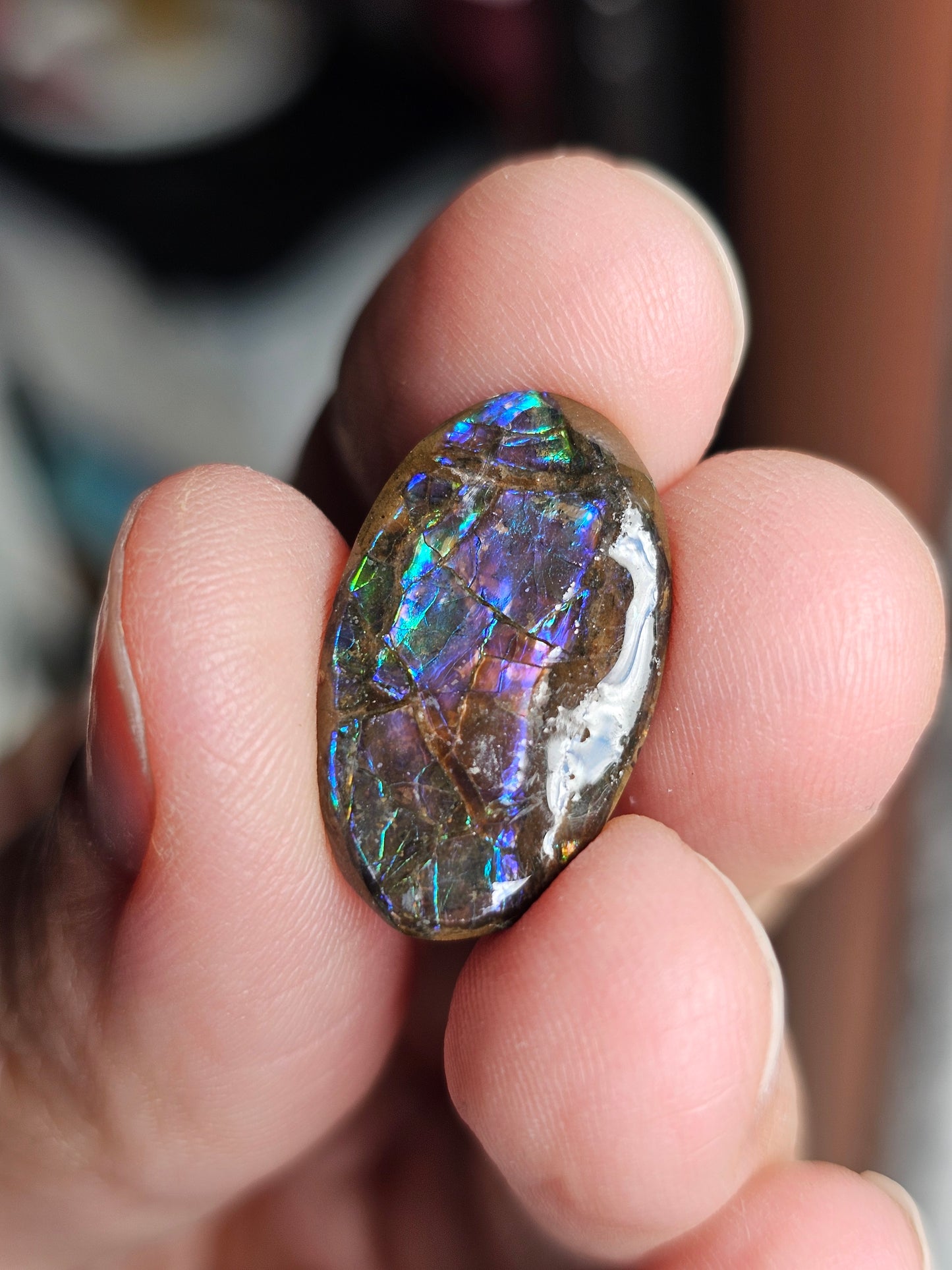 Ammolite du Canada B