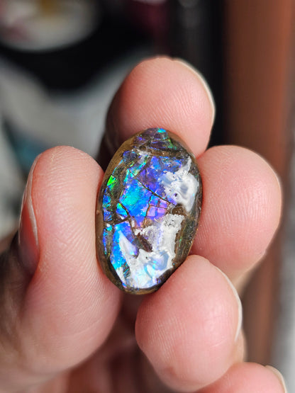 Ammolite du Canada B