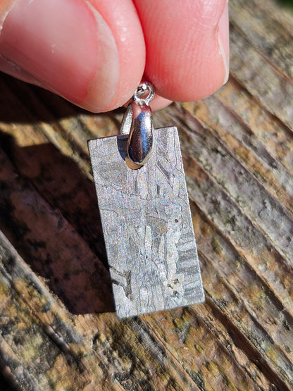 Pendentif en Météorite Sidérite M4