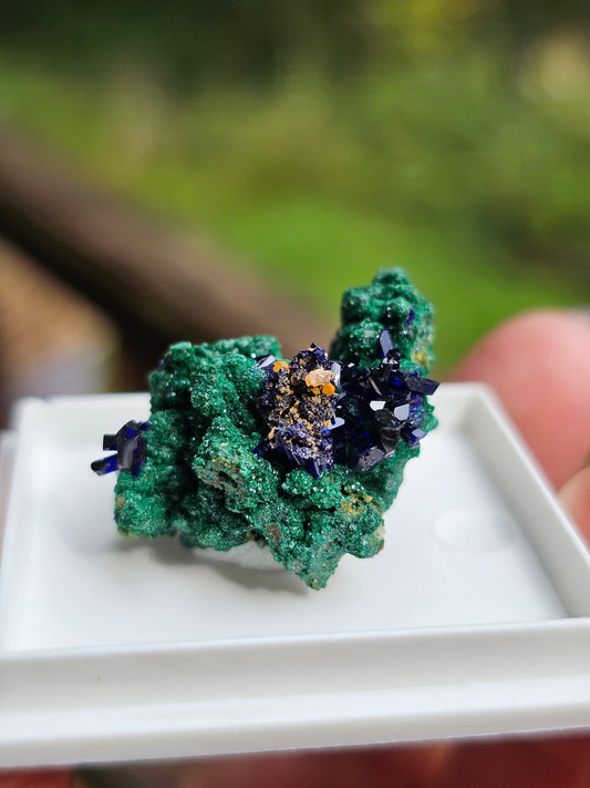 Azurite et Malachite du Maroc n°1