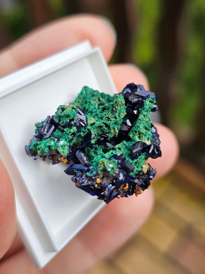 Azurite et Malachite du Maroc n°3