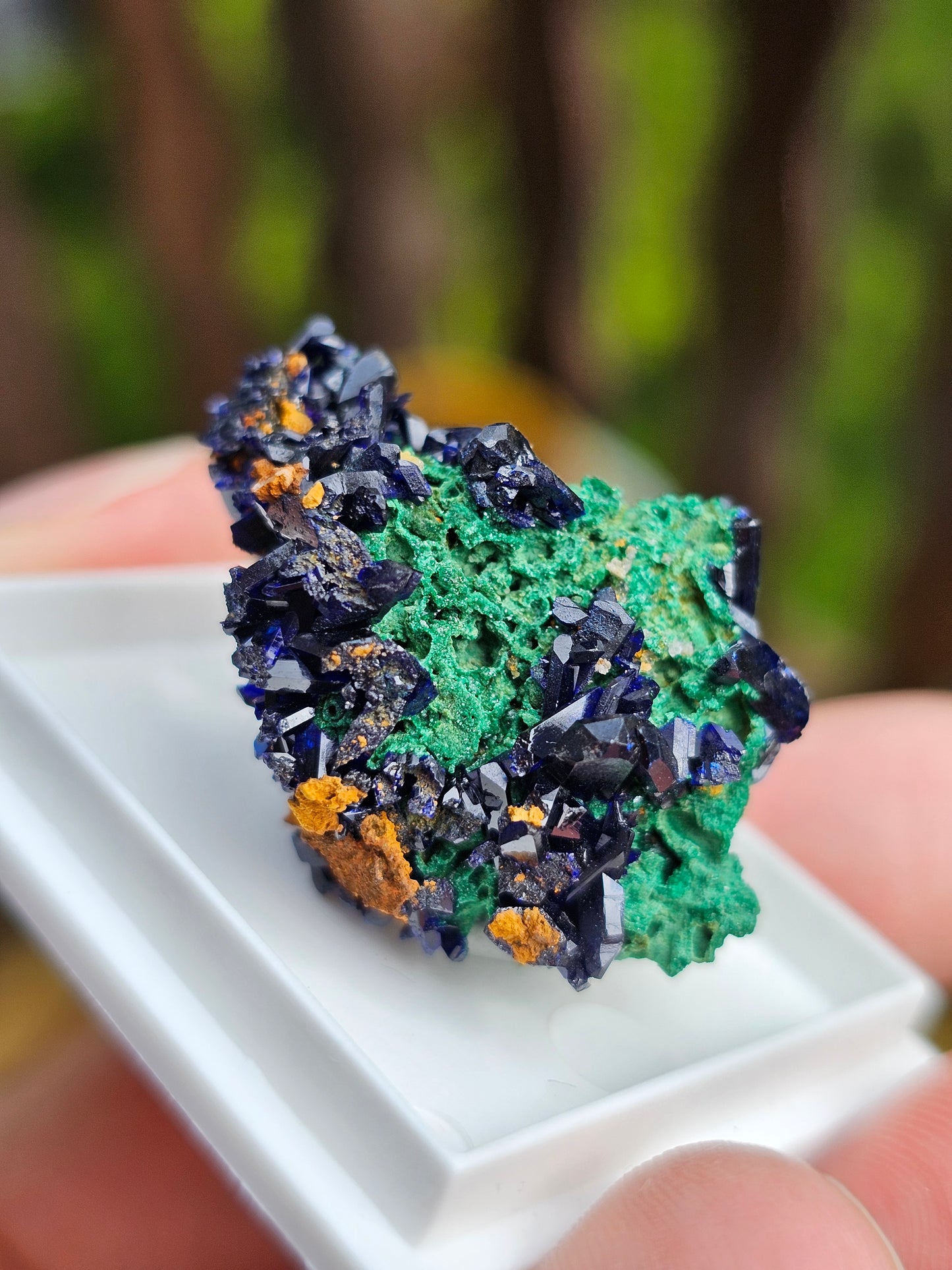 Azurite et Malachite du Maroc n°3