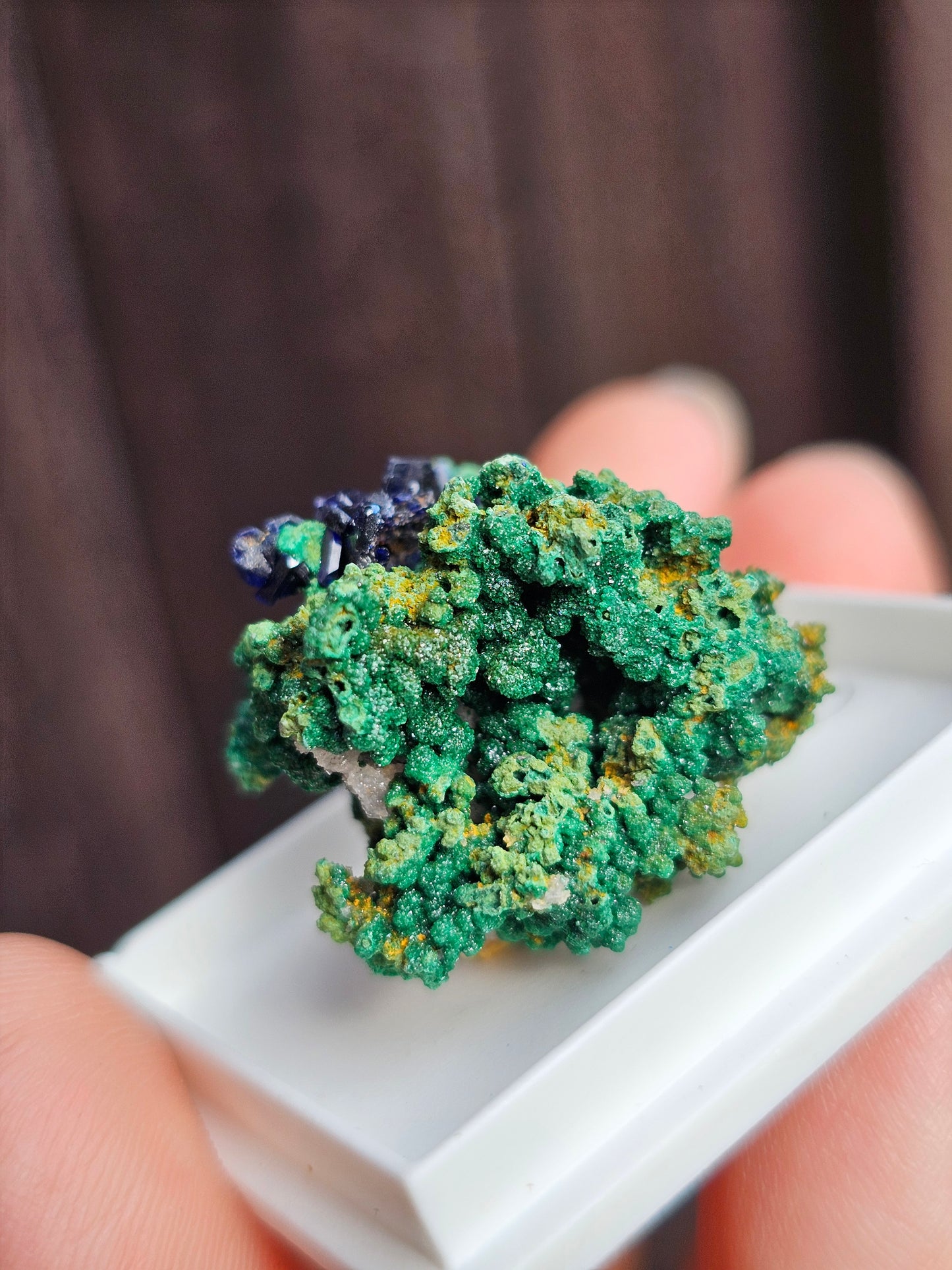 Azurite et Malachite du Maroc n°5