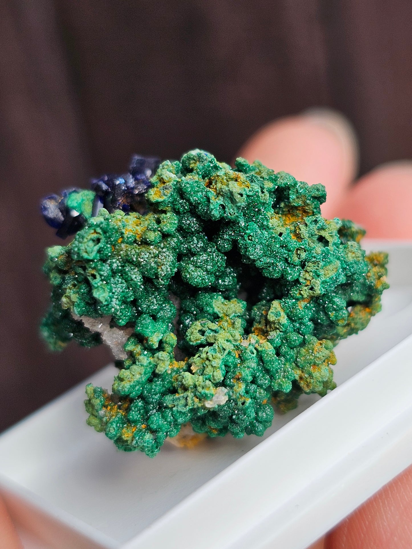 Azurite et Malachite du Maroc n°5