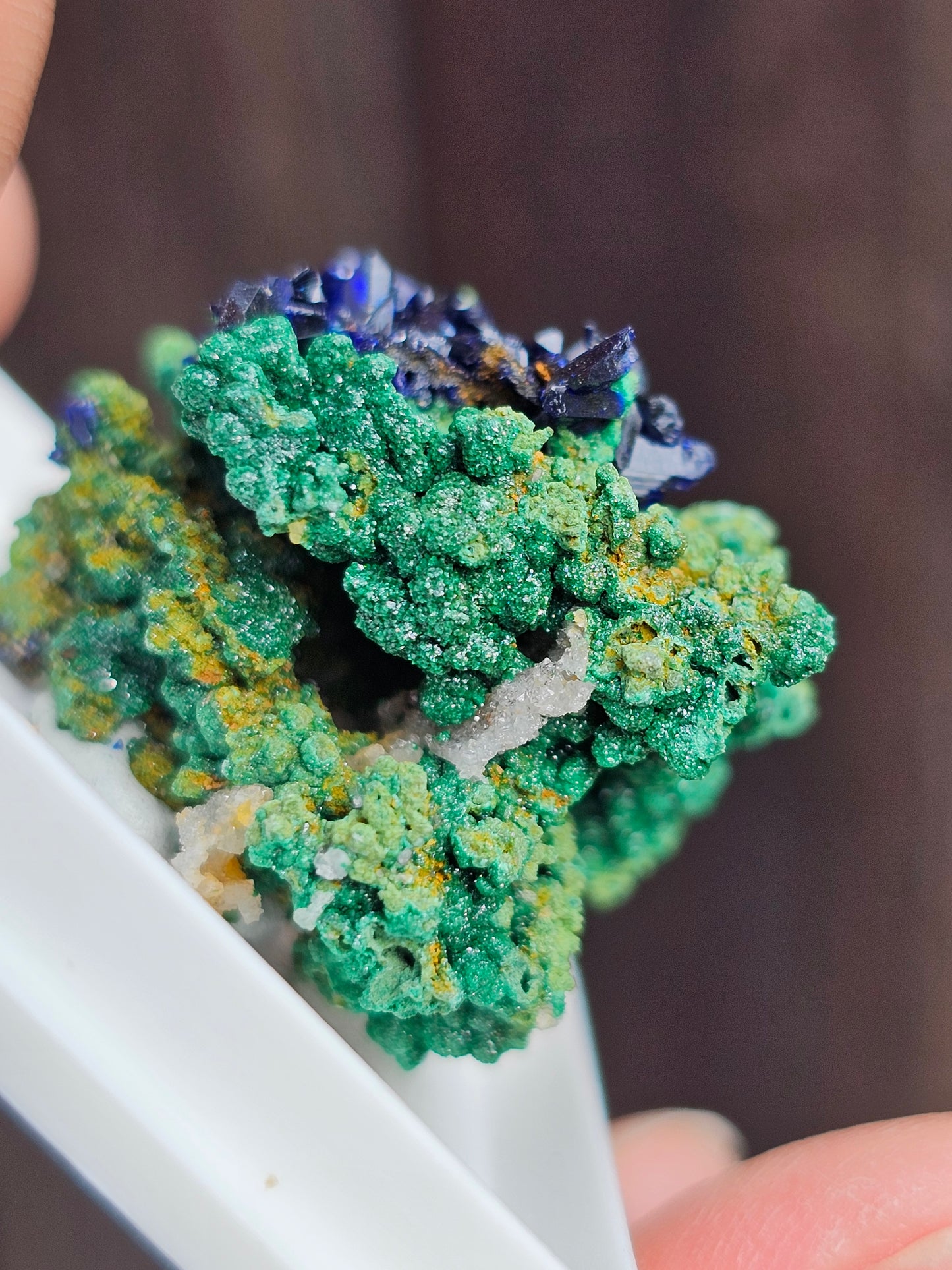 Azurite et Malachite du Maroc n°5