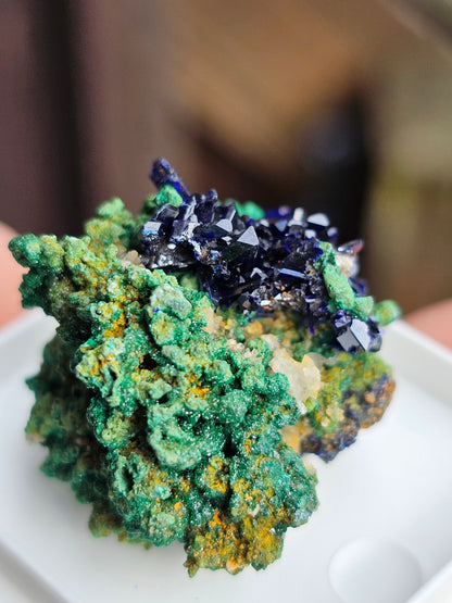 Azurite et Malachite du Maroc n°5