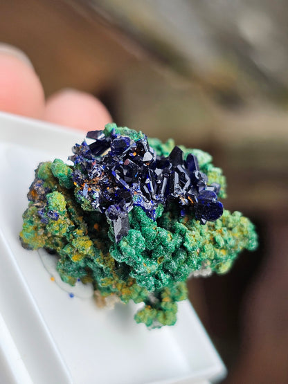 Azurite et Malachite du Maroc n°5