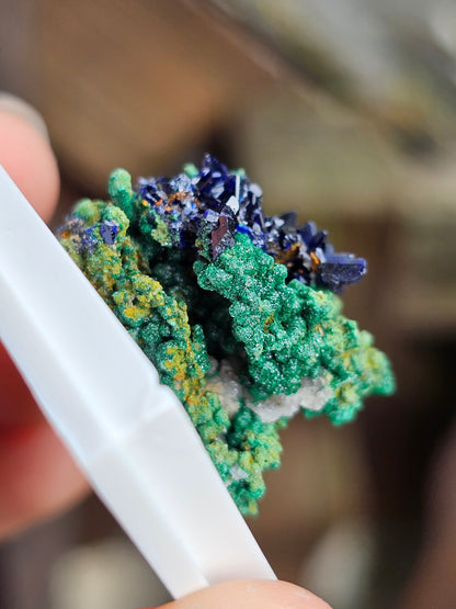 Azurite et Malachite du Maroc n°5