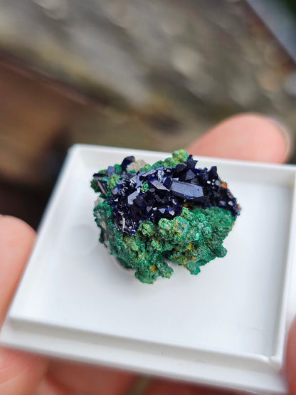 Azurite et Malachite du Maroc n°6