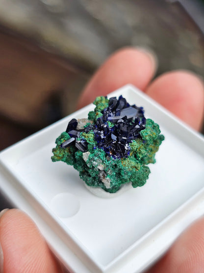 Azurite et Malachite du Maroc n°6