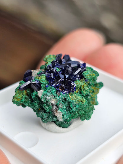 Azurite et Malachite du Maroc n°6