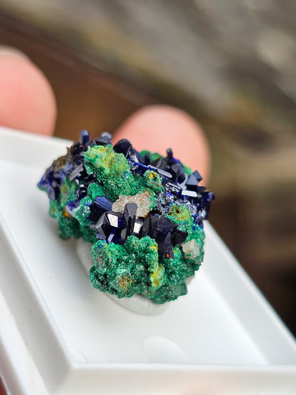 Azurite et Malachite du Maroc n°6