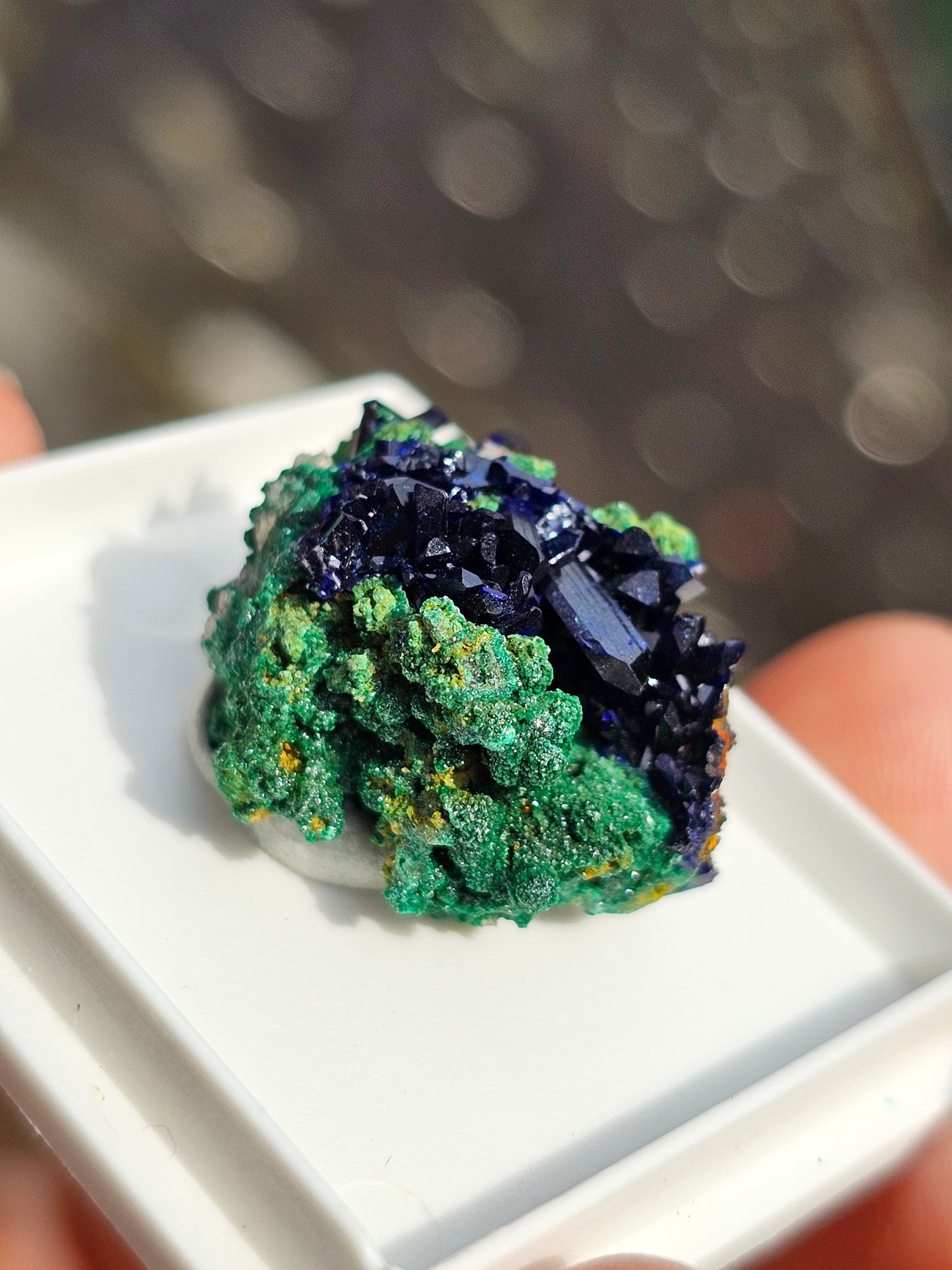 Azurite et Malachite du Maroc n°6