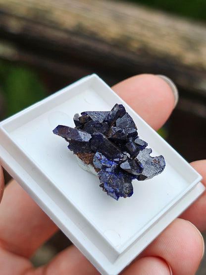 Azurite du Maroc n°13