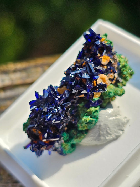 Azurite avec Malachite du Maroc n°16