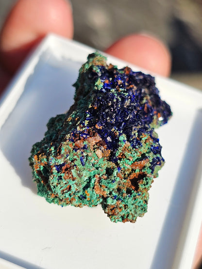 Azurite avec Malachite du Maroc n°18