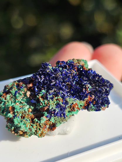 Azurite avec Malachite du Maroc n°18