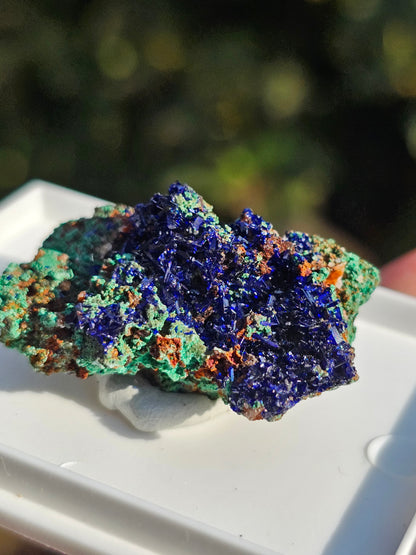 Azurite avec Malachite du Maroc n°18