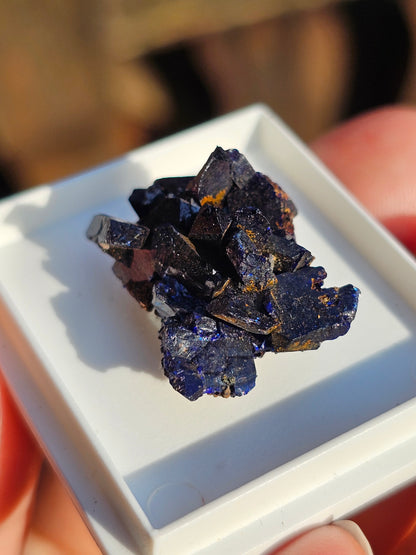 Azurite du Maroc n°13