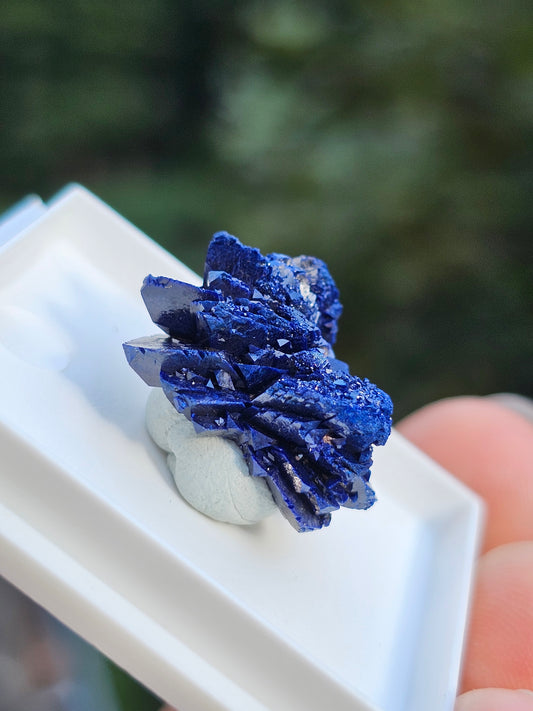 Sublime Azurite du Maroc n°22