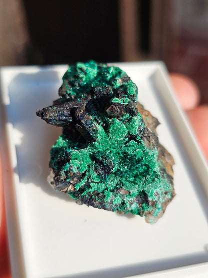 Brochantite et Malachite n°5