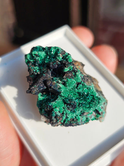 Brochantite et Malachite n°5