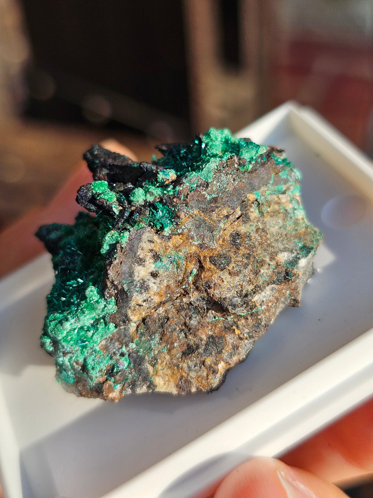 Brochantite et Malachite n°5