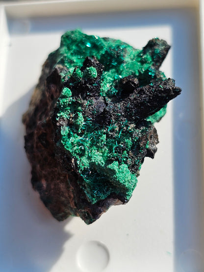 Brochantite et Malachite n°5