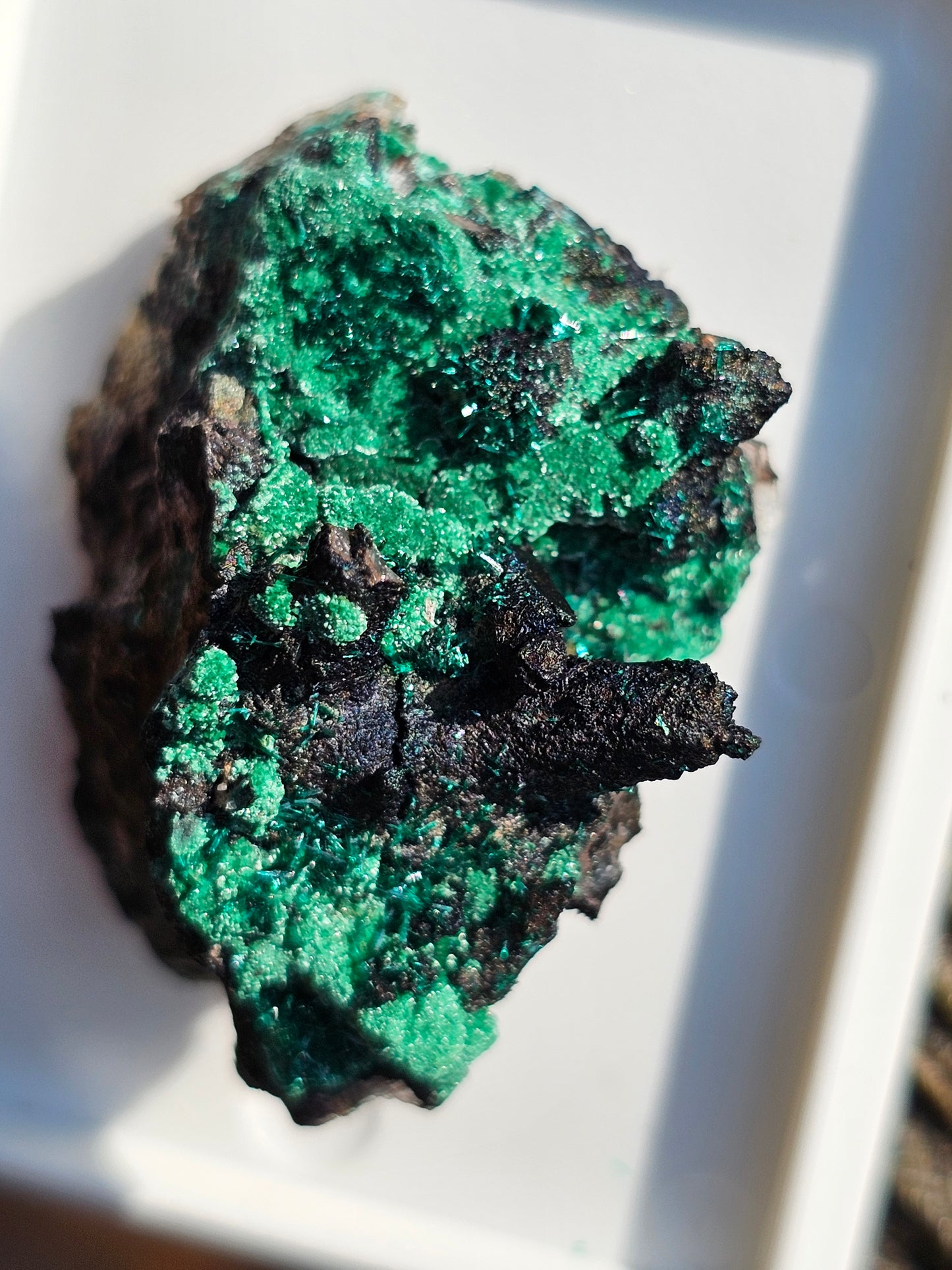 Brochantite et Malachite n°5