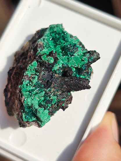 Brochantite et Malachite n°5