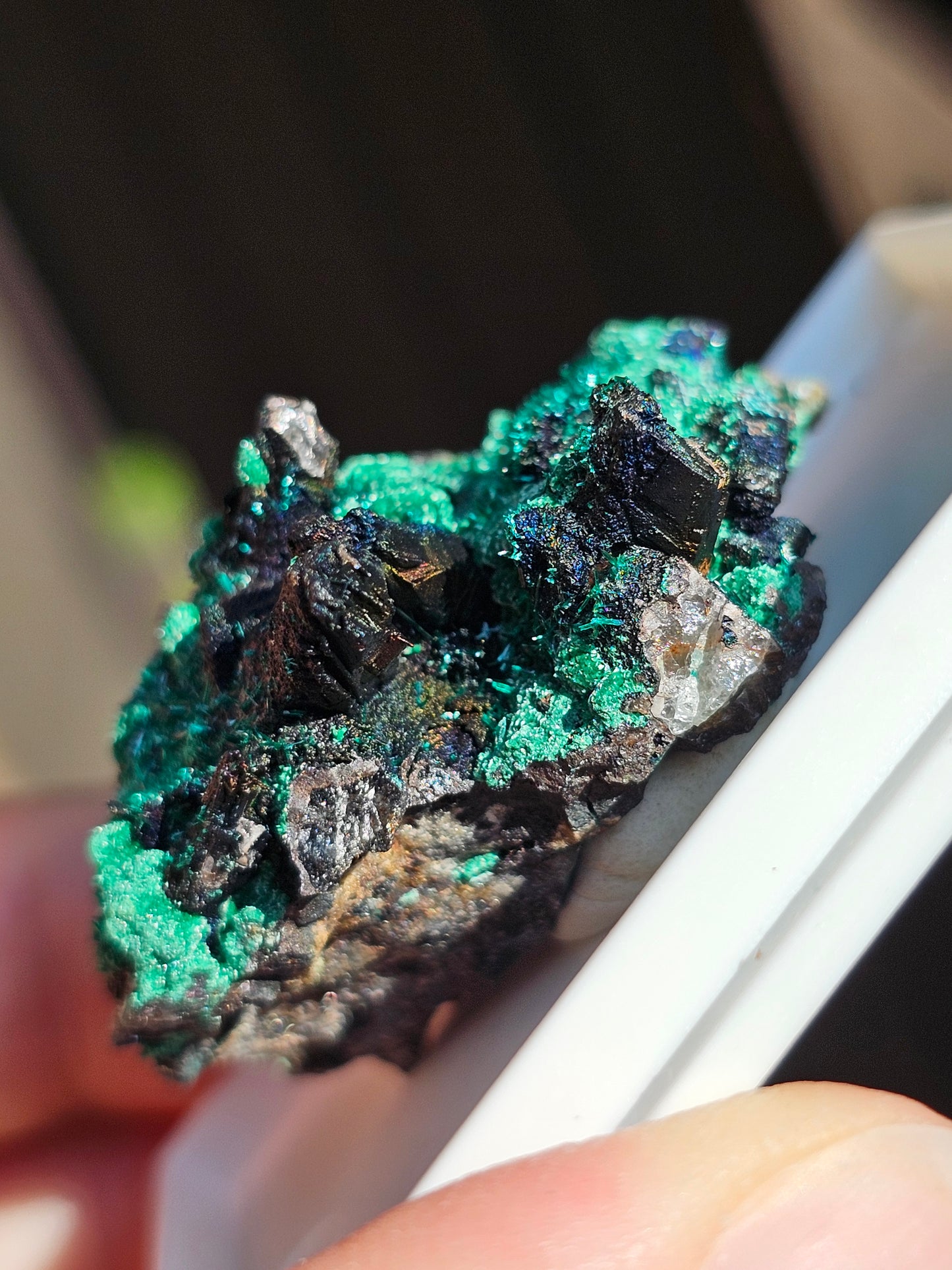 Brochantite et Malachite n°5