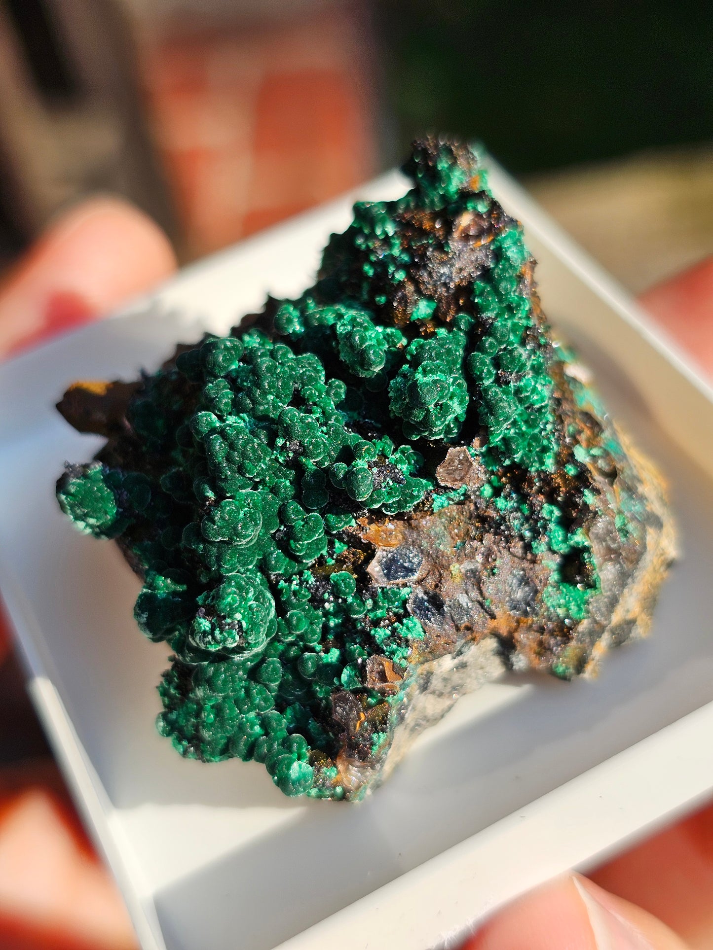 Brochantite et Malachite n°6