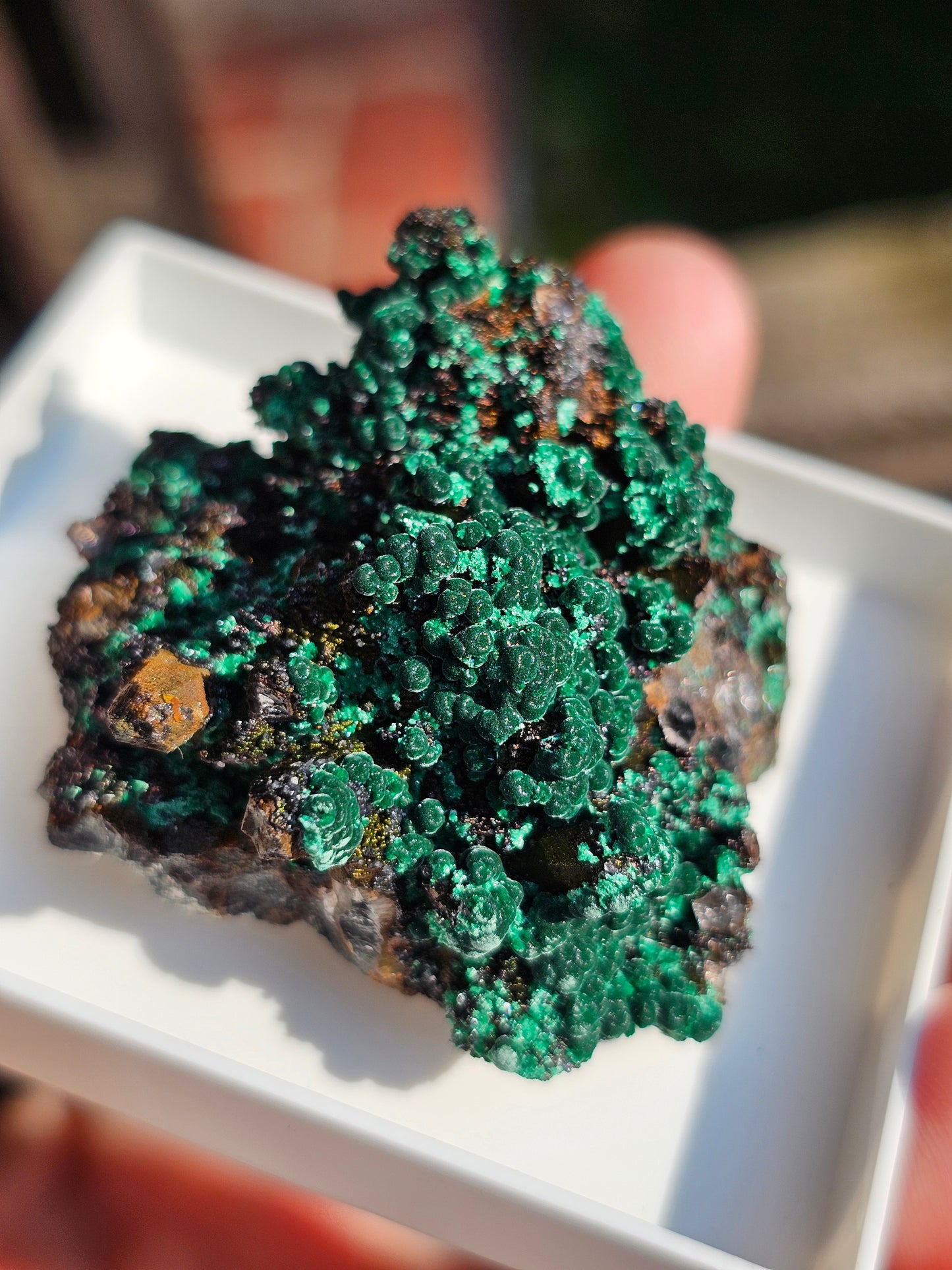 Brochantite et Malachite n°6