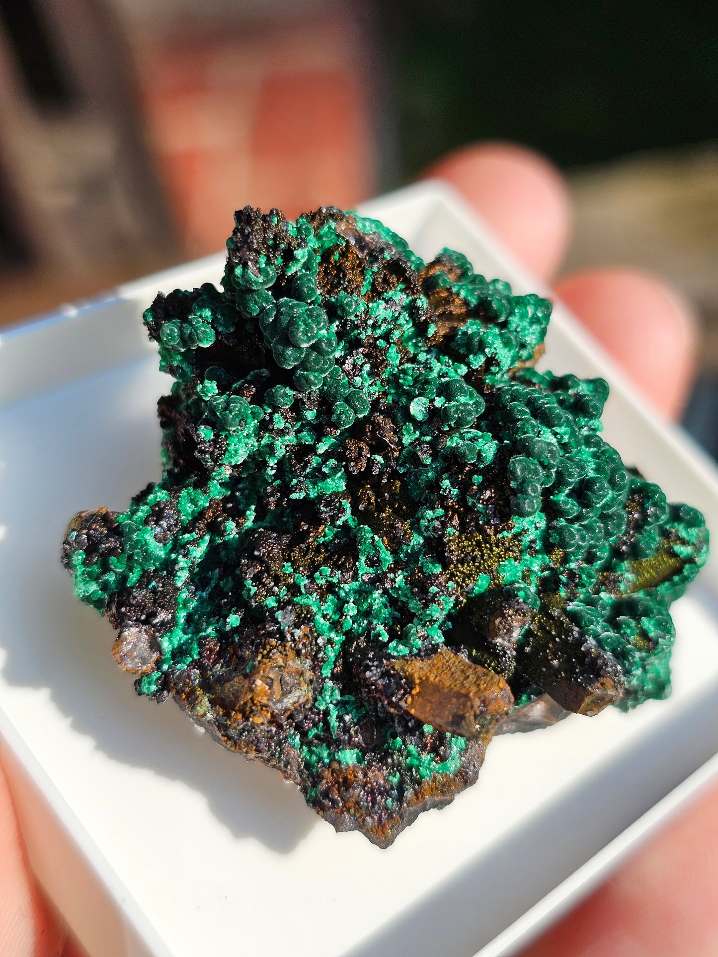 Brochantite et Malachite n°6