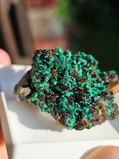 Brochantite et Malachite n°6