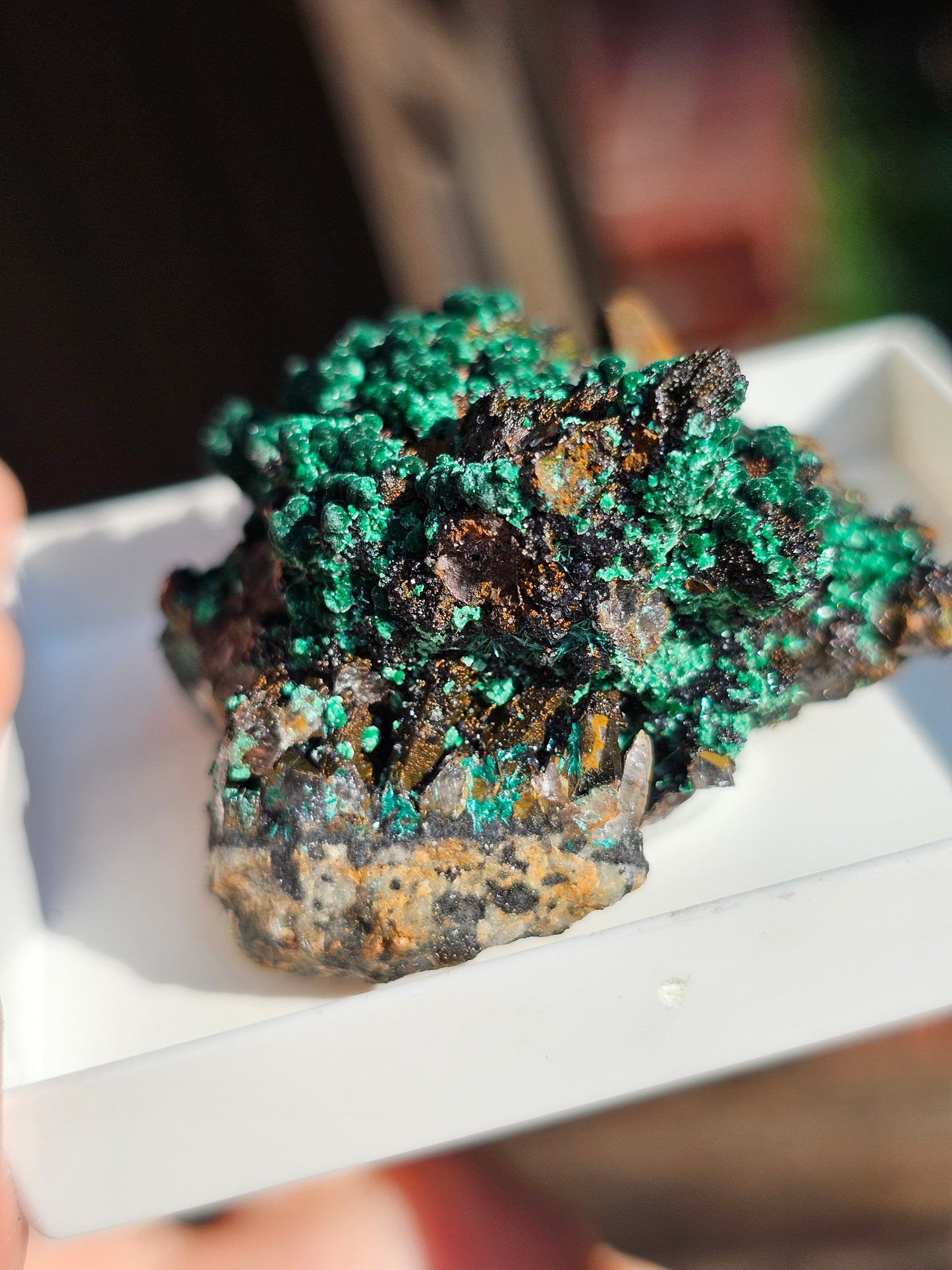 Brochantite et Malachite n°6