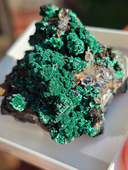 Brochantite et Malachite n°6