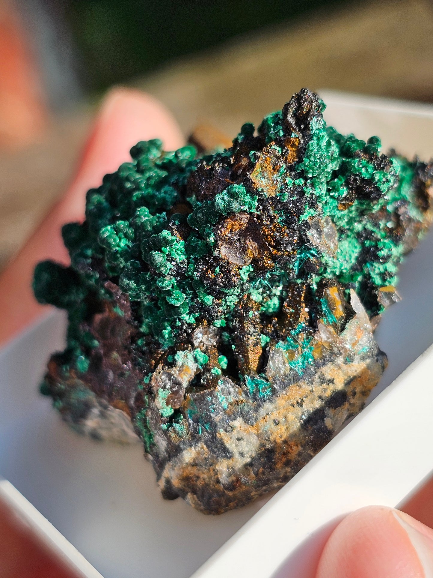 Brochantite et Malachite n°6