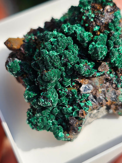 Brochantite et Malachite n°6