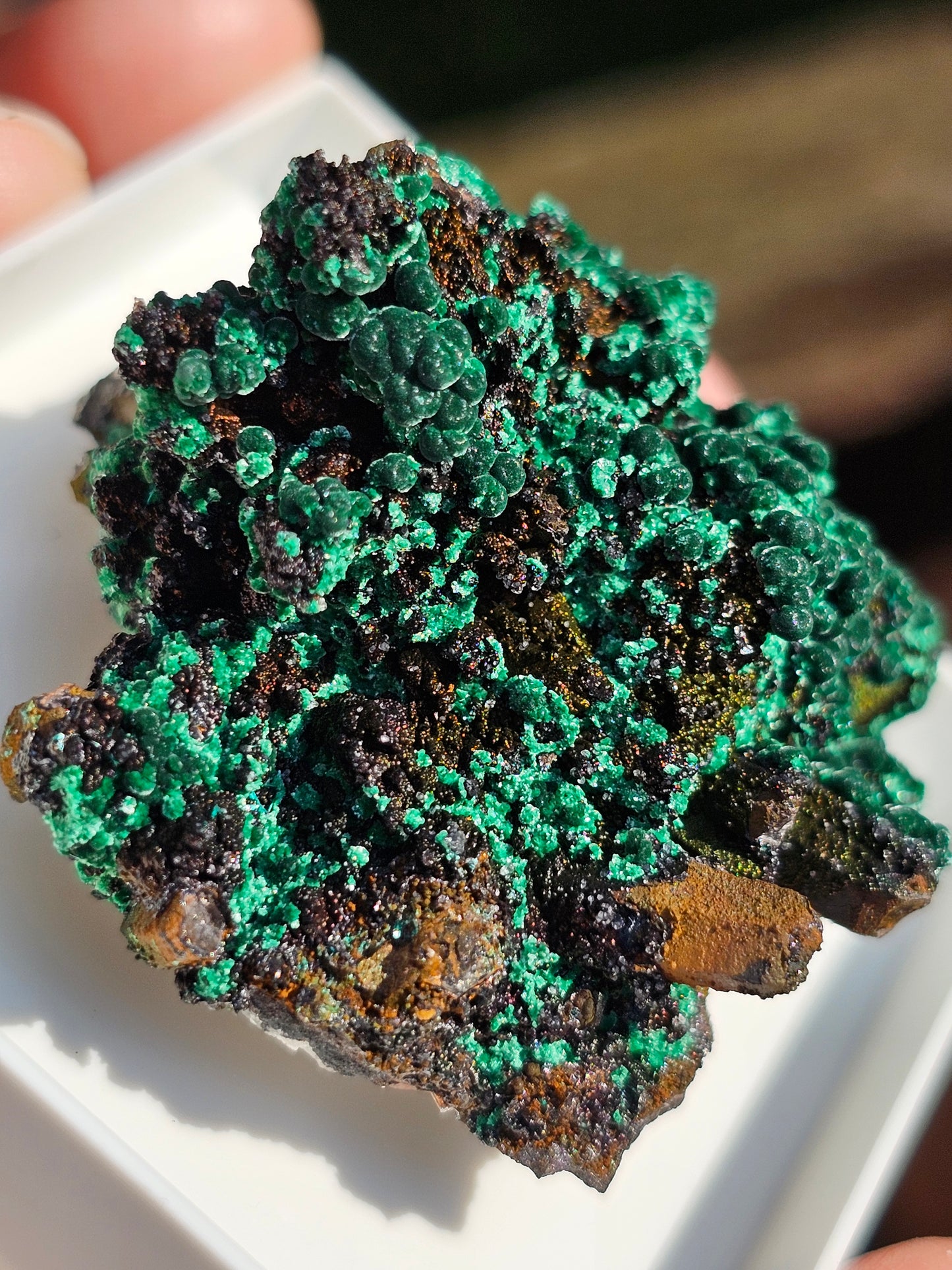 Brochantite et Malachite n°6