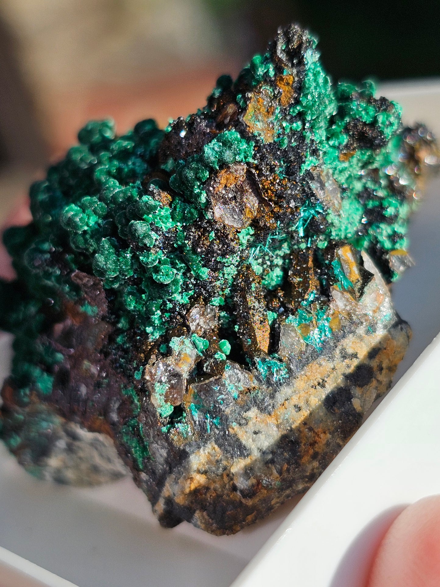 Brochantite et Malachite n°6