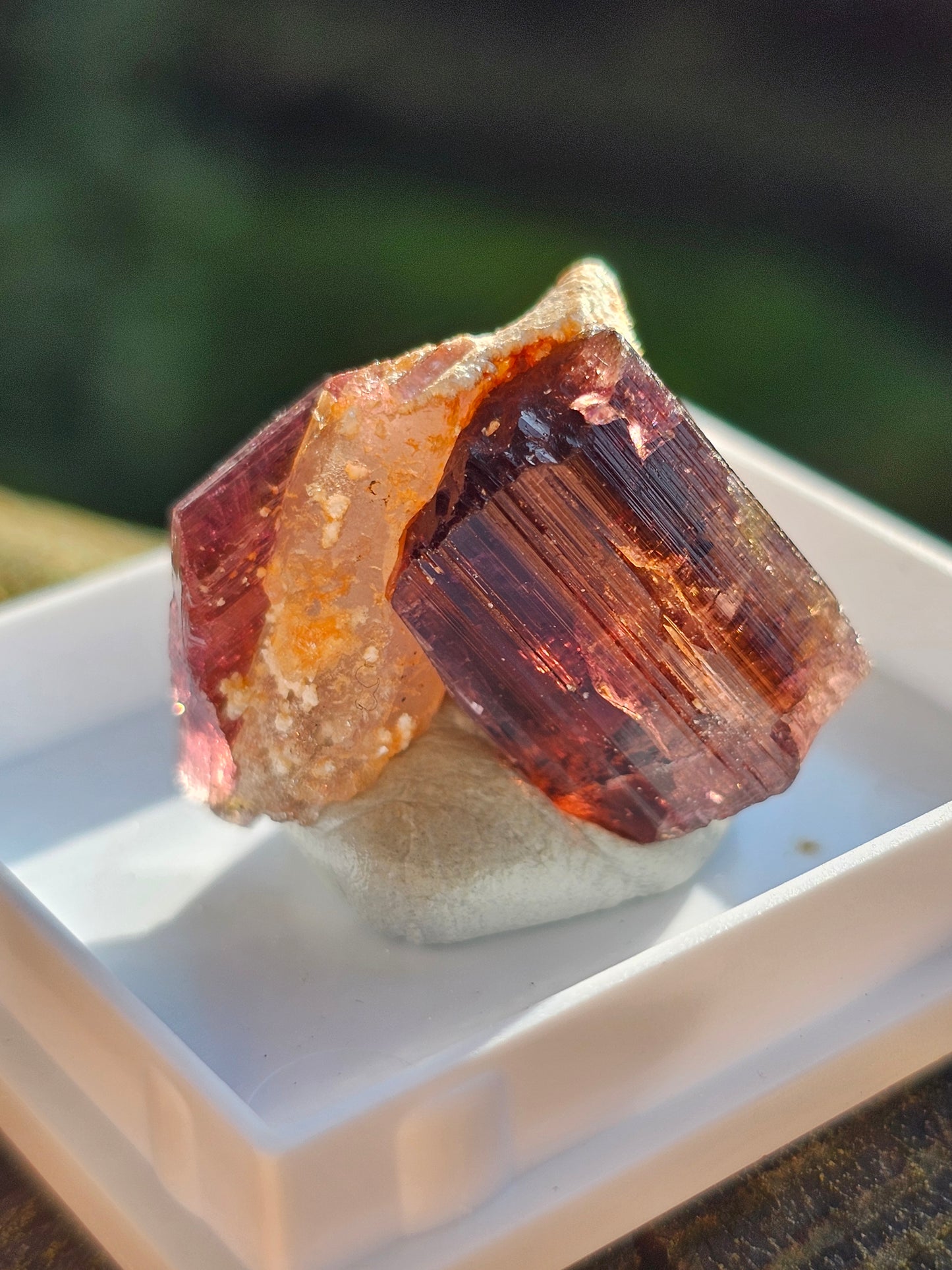 Tourmaline rose (Rubellite) de Madagascar