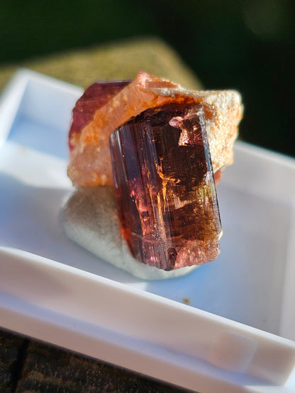 Tourmaline rose (Rubellite) de Madagascar