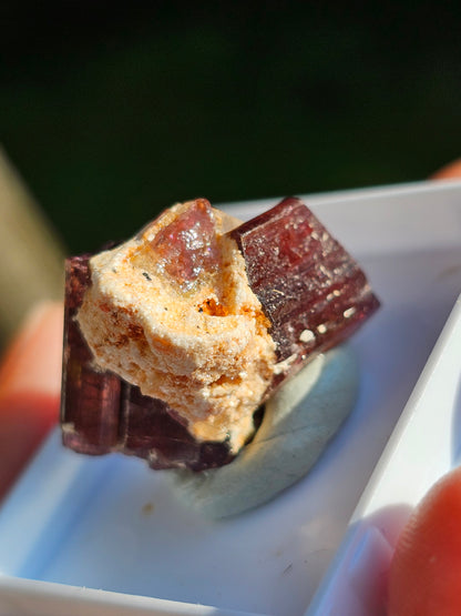 Tourmaline rose (Rubellite) de Madagascar