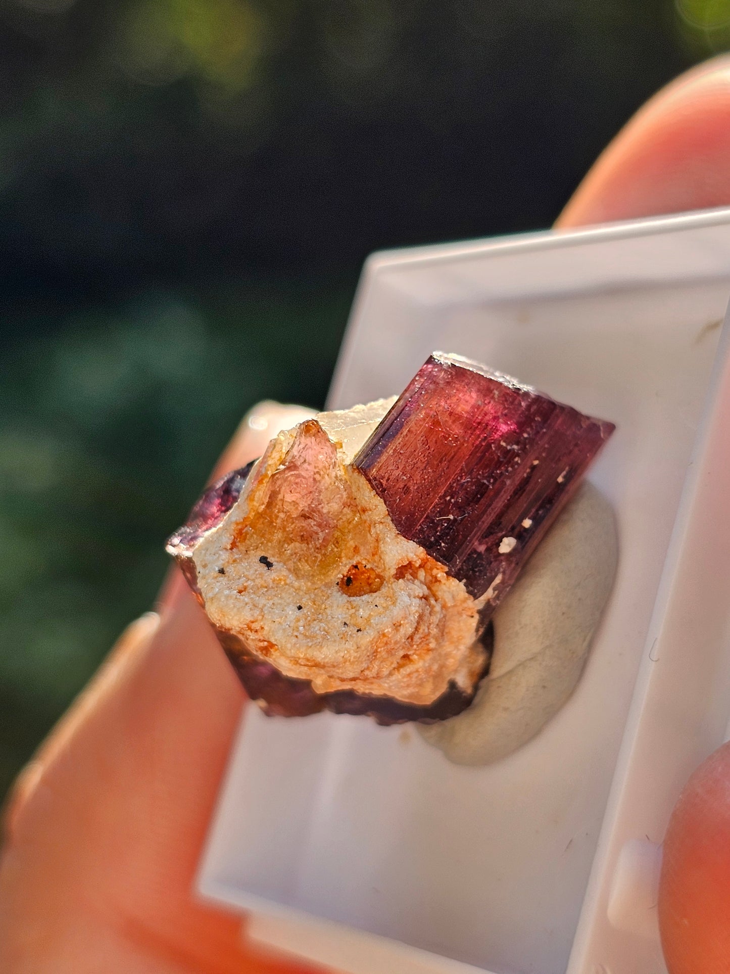 Tourmaline rose (Rubellite) de Madagascar