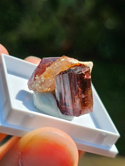 Tourmaline rose (Rubellite) de Madagascar