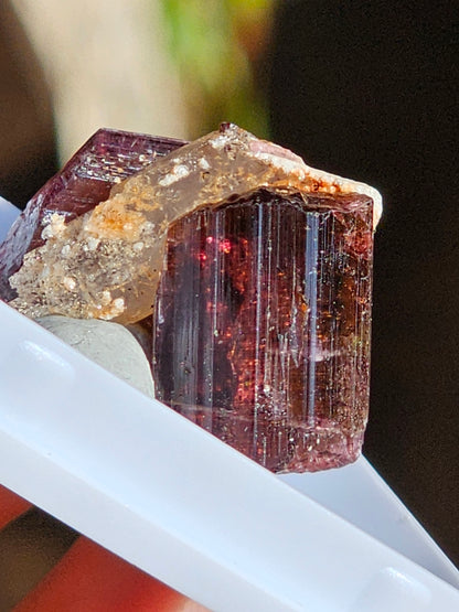 Tourmaline rose (Rubellite) de Madagascar