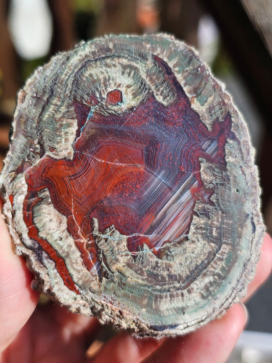 Lithophyse massif de l'Esterel Var France